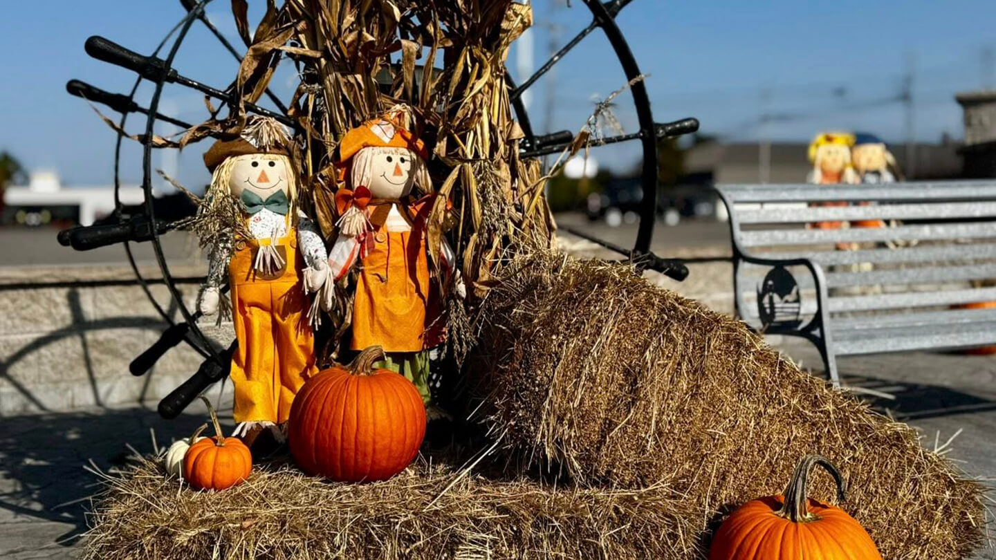 Fall Decorations