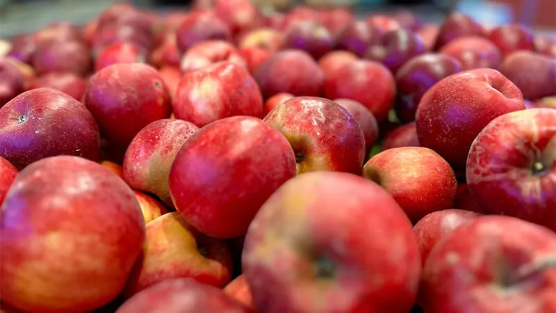 Knaebe's Mmmunchy Krunchy Apple Farm Knaebe's Mmmunchy Krunchy Apple Farm